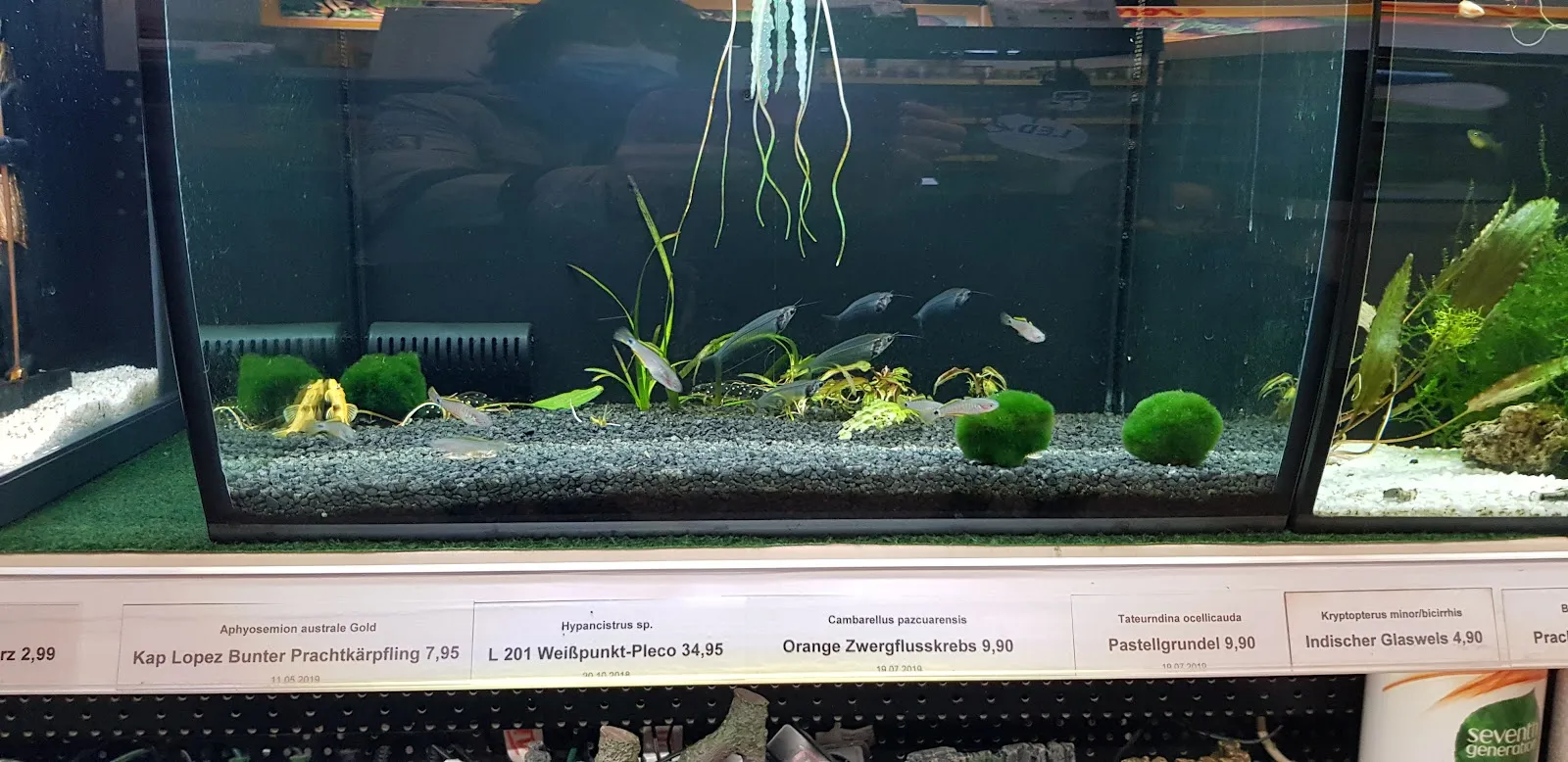 Витрина зоомагазина В. Швекунеке с товарами для животных