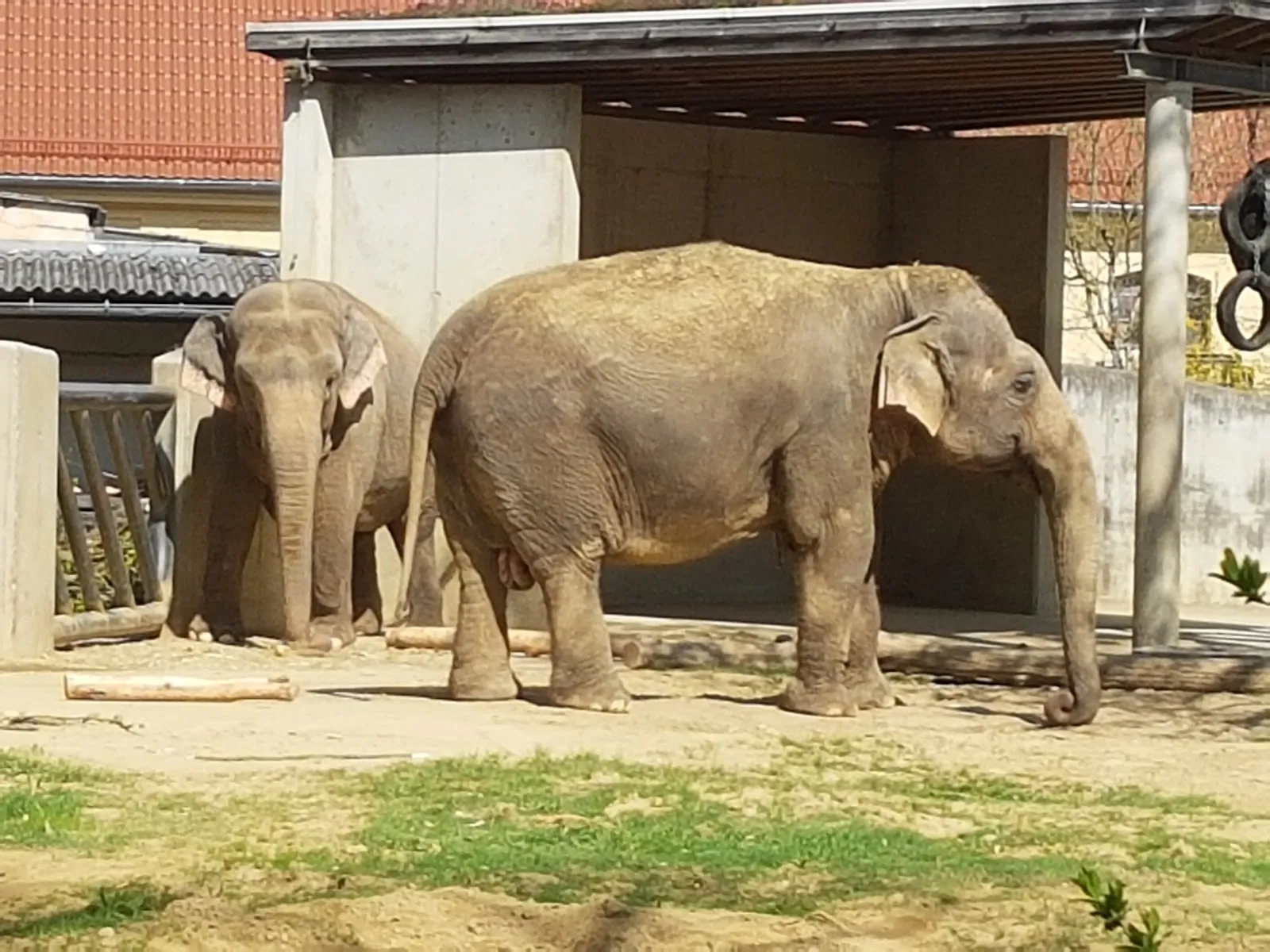 Зоопарк Аугсбурга