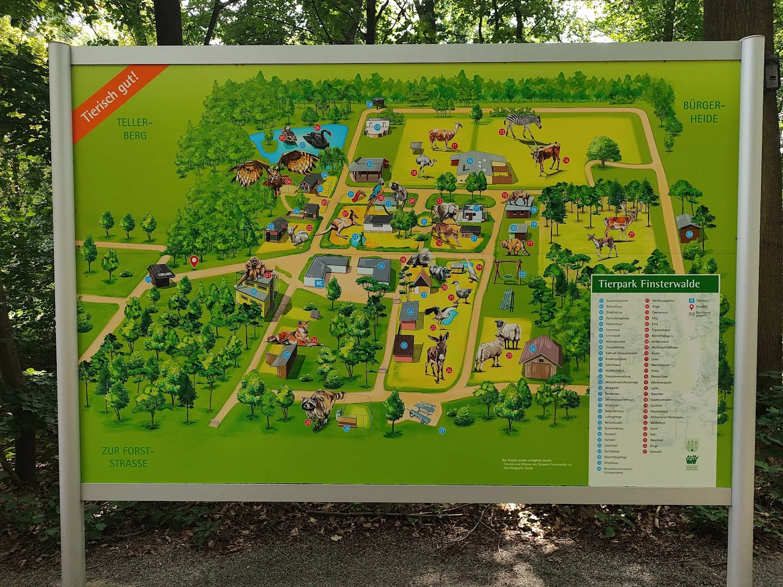 Зоопарк Финстервальде