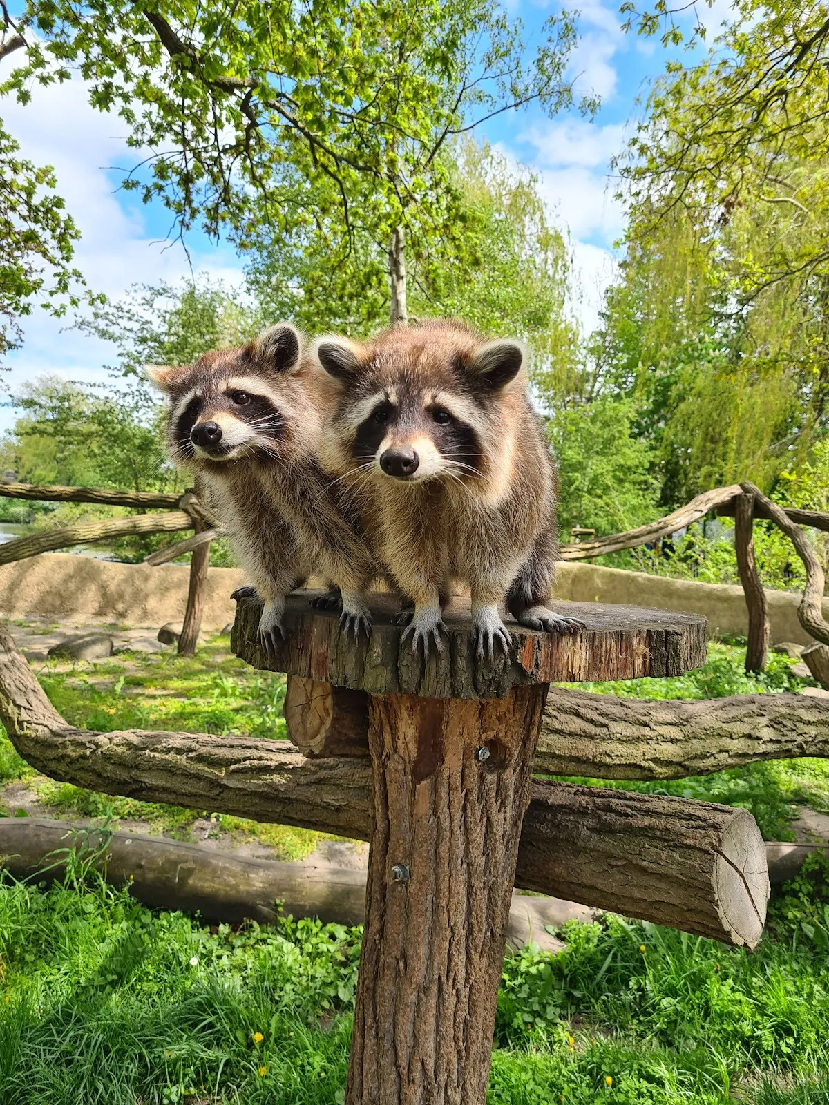 Зоопарк Грайфсвальд