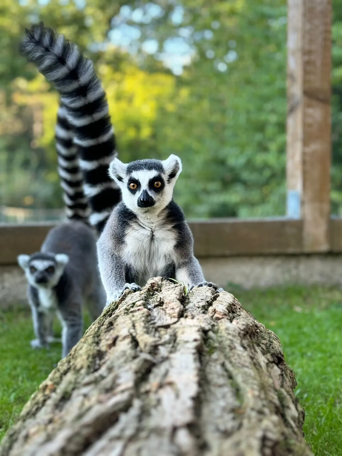 Зоопарк Иргенёд