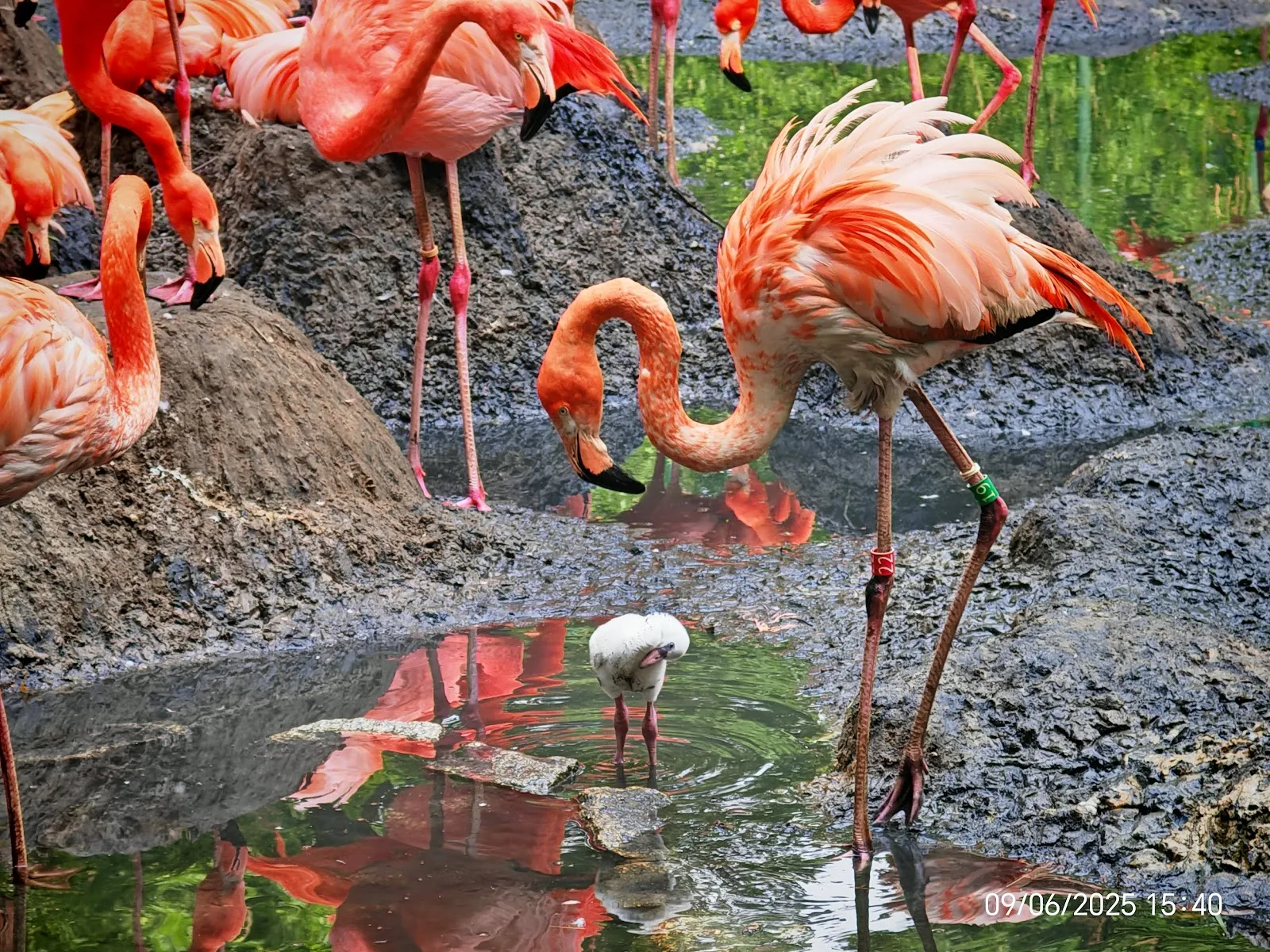 Вход в зоопарк Котбус с указателем