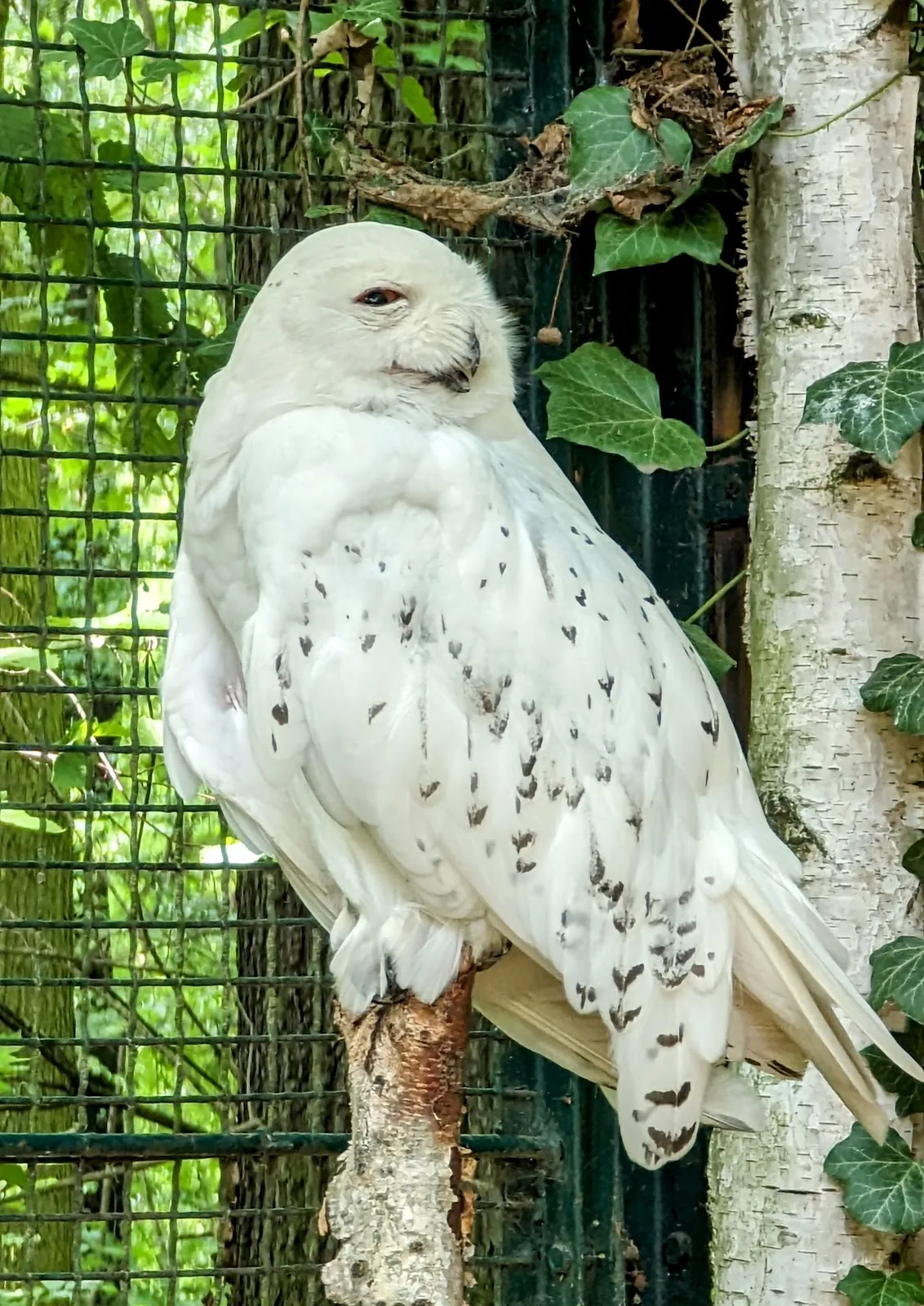 Вход в зоопарк Котбус с указателем