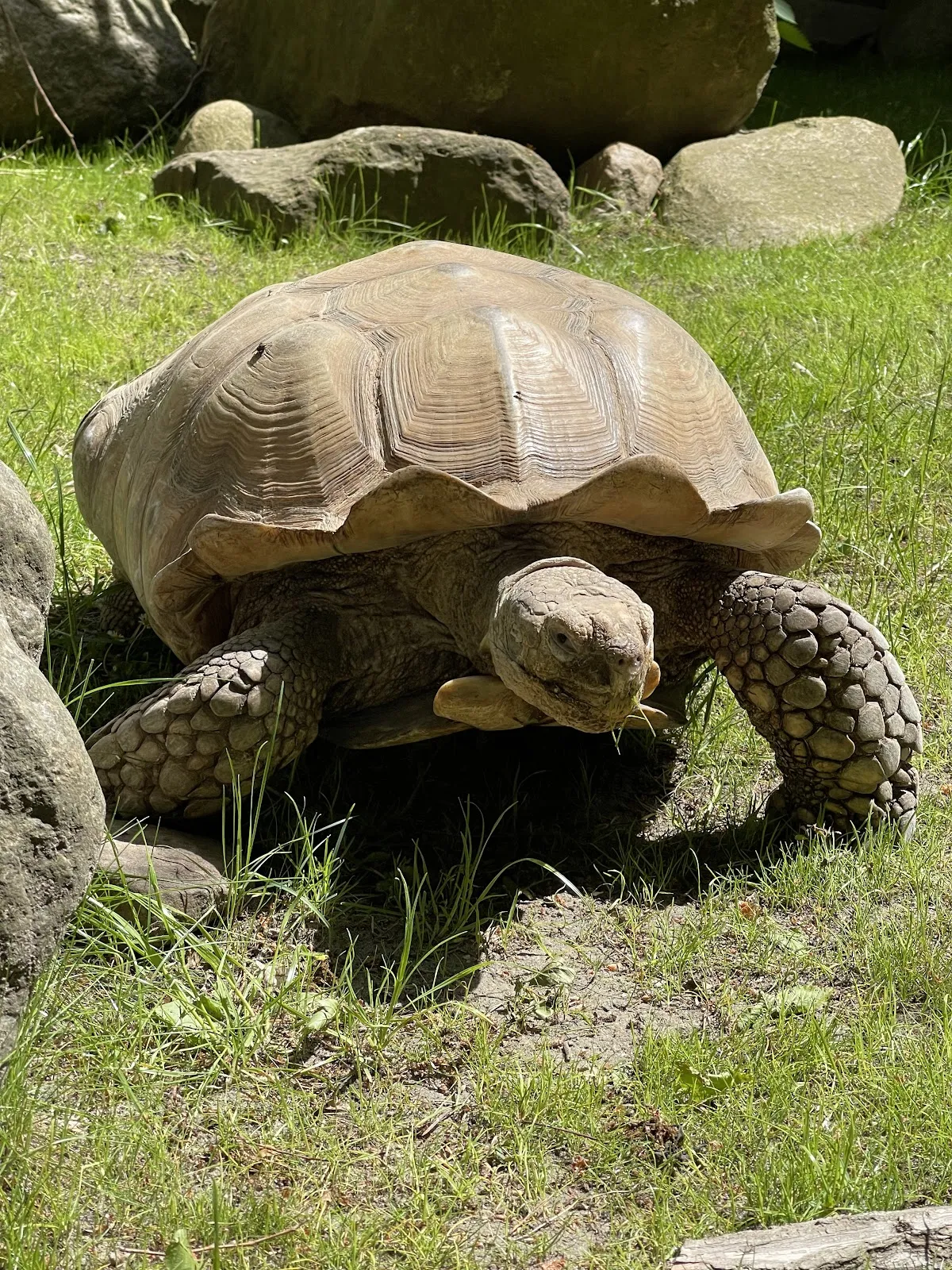 Вход в зоопарк Котбус с указателем