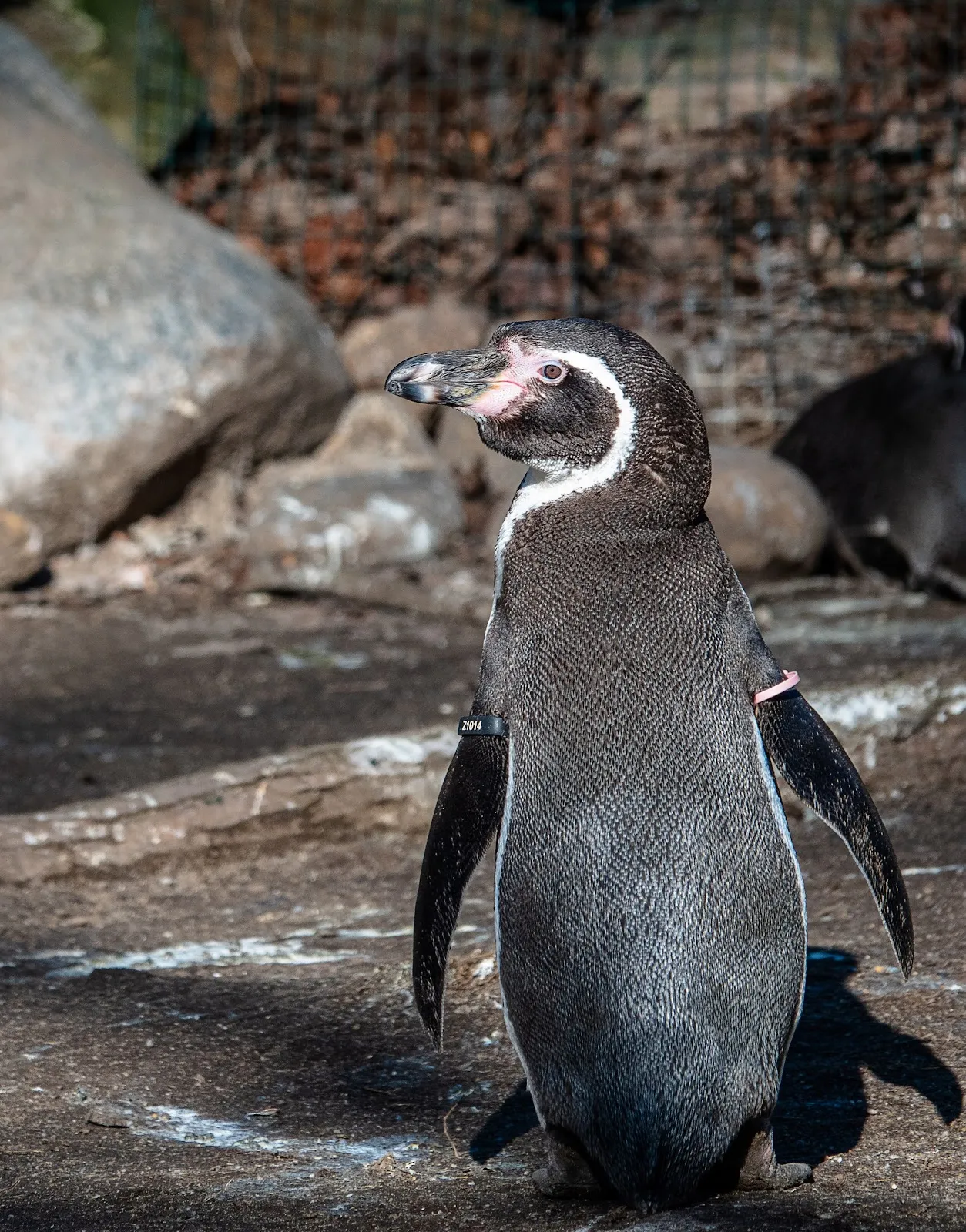 Вход в зоопарк Котбус с указателем