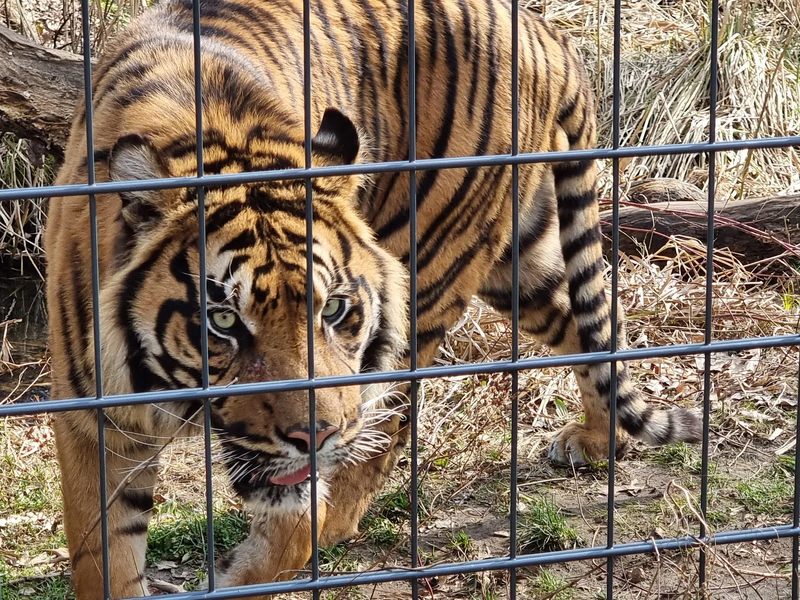 Вход в зоопарк Котбус с указателем