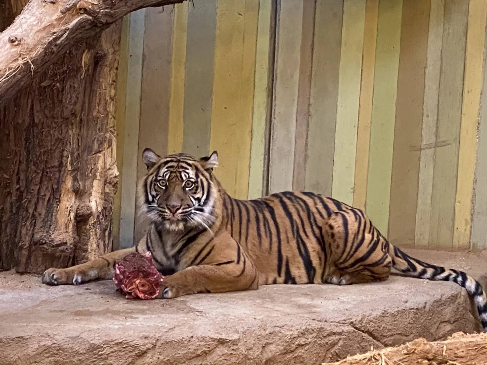 Вход в зоопарк Котбус с указателем