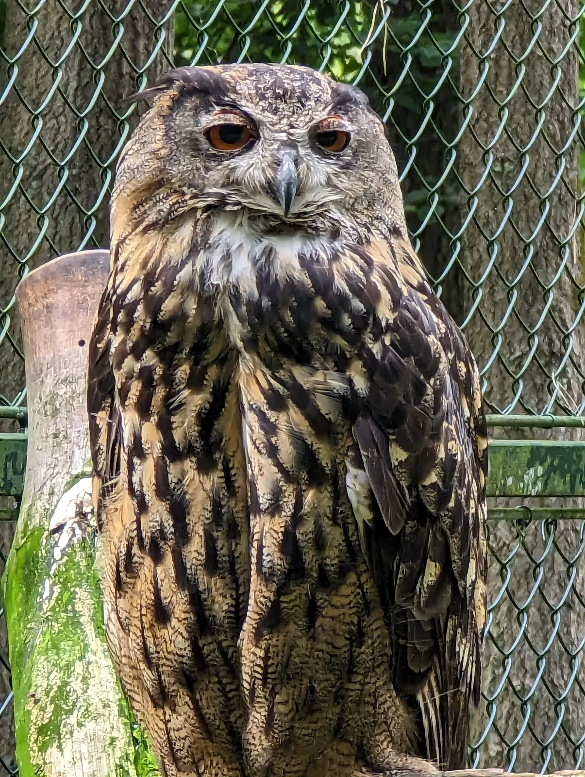 Вход в зоопарк Кунстершпринг