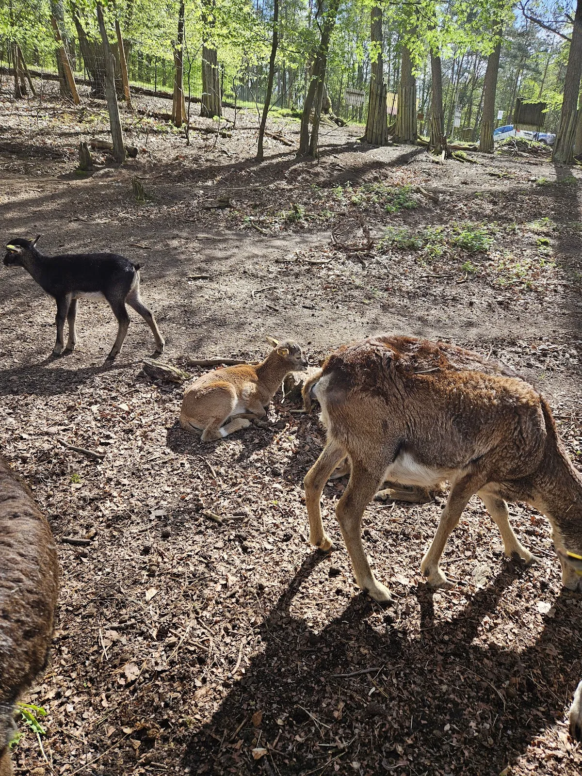 Вход в зоопарк Кунстершпринг