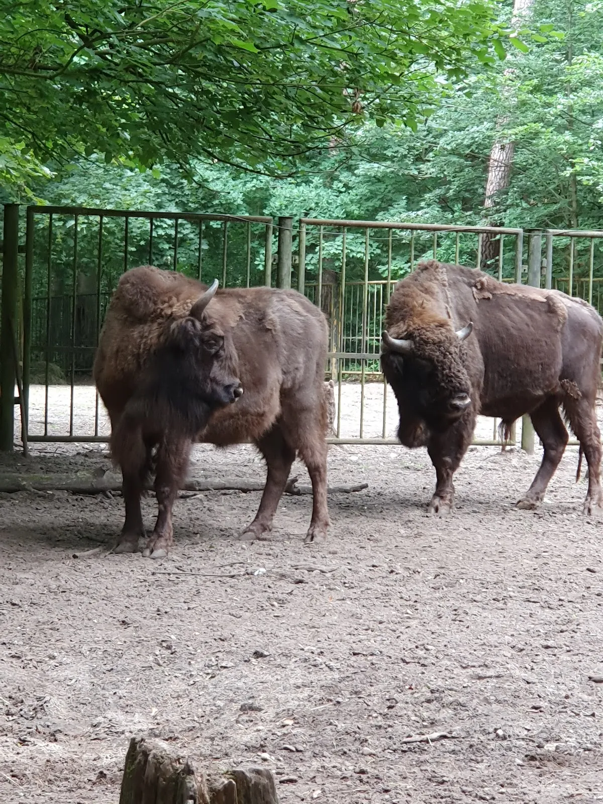 Вход в зоопарк Кунстершпринг