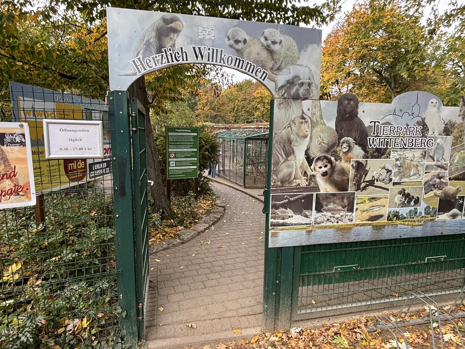 Вид на вольер с животными в зоопарке Лютерштадт-Виттенберг