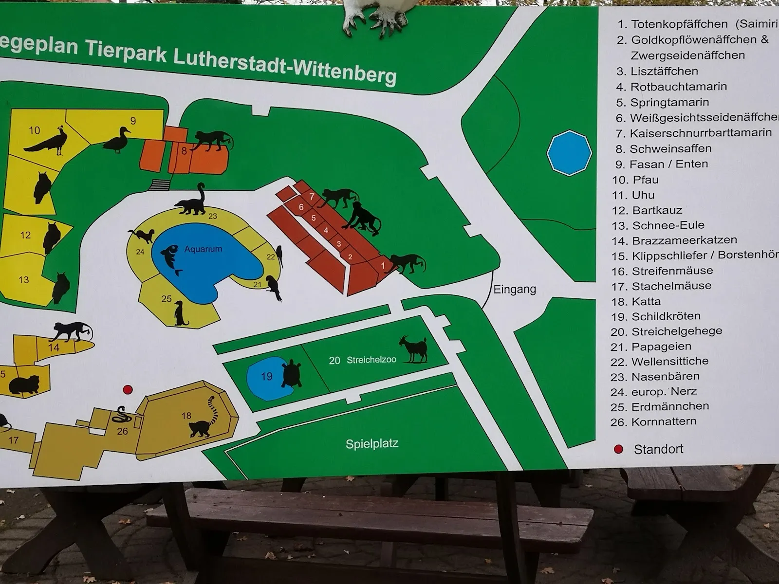 Вид на вольер с животными в зоопарке Лютерштадт-Виттенберг