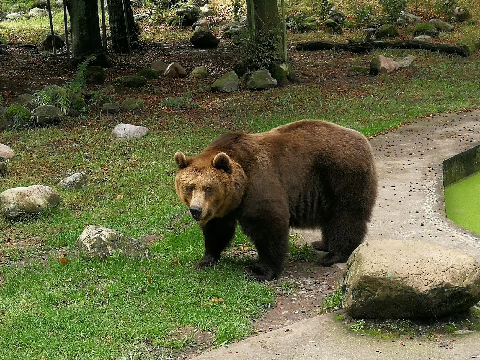 Экзотические животные в зоопарке Перлеберг