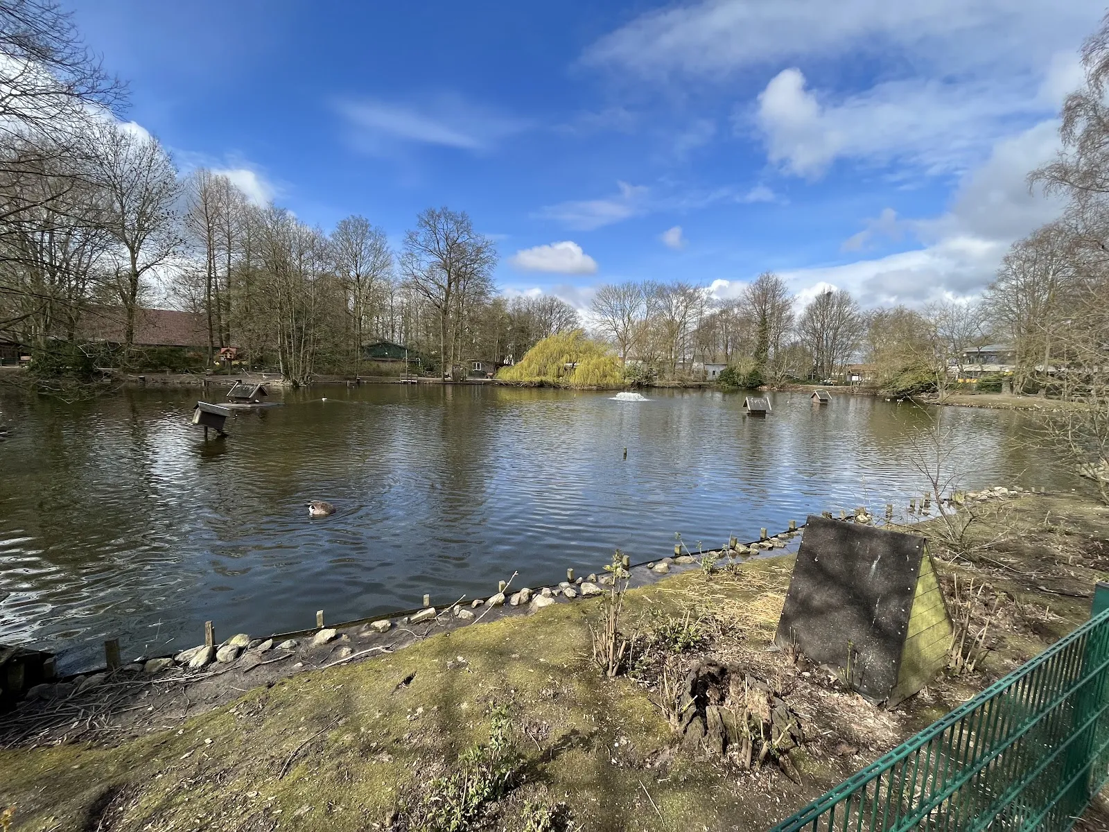 Зоопарк Петермор, животные, посетители