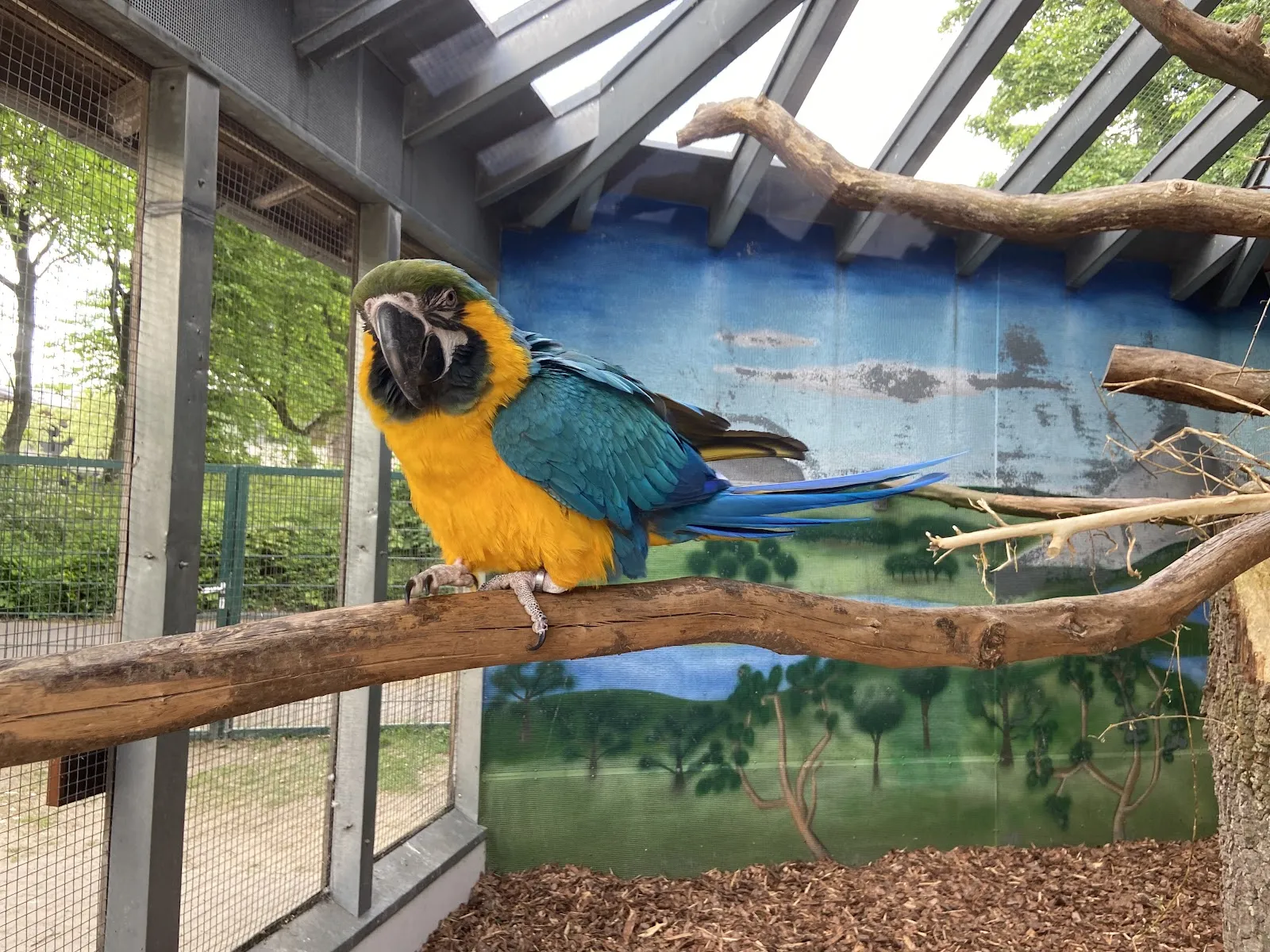 Зоопарк Петермор, животные, посетители