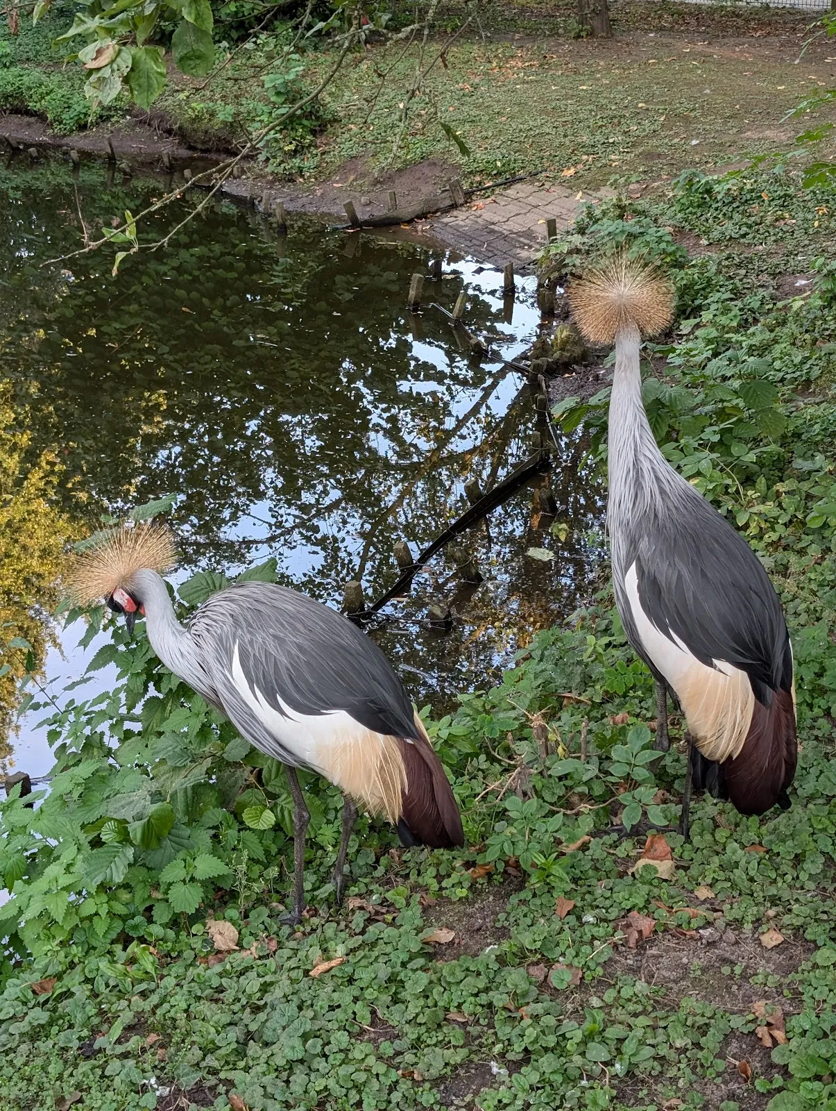 Зоопарк Петермор, животные, посетители