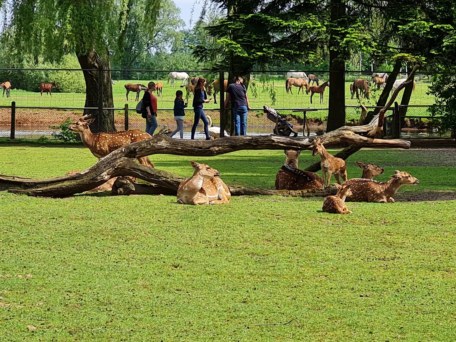 Зоопарк Штрёэн