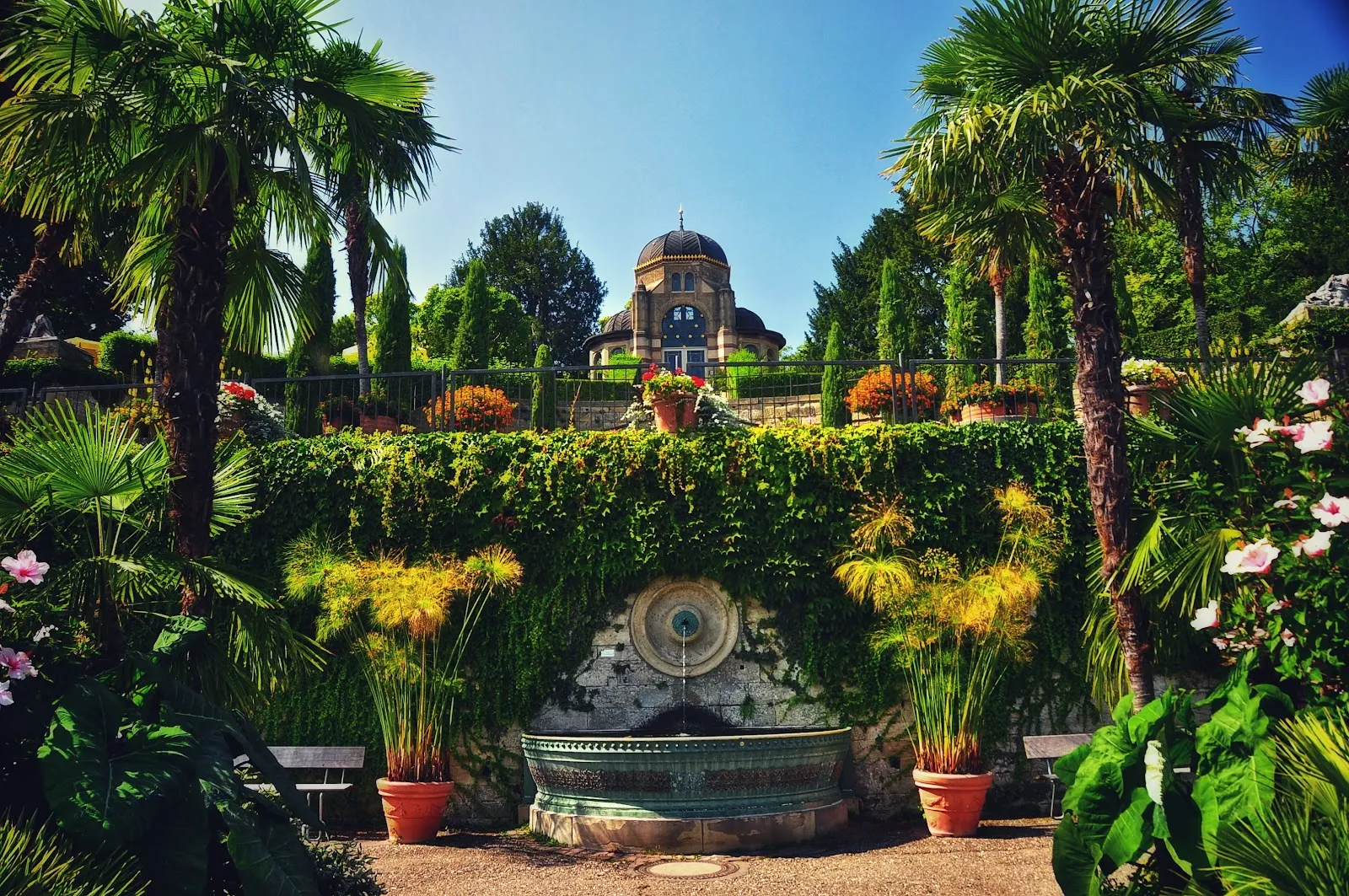 Зубтропентеррассен